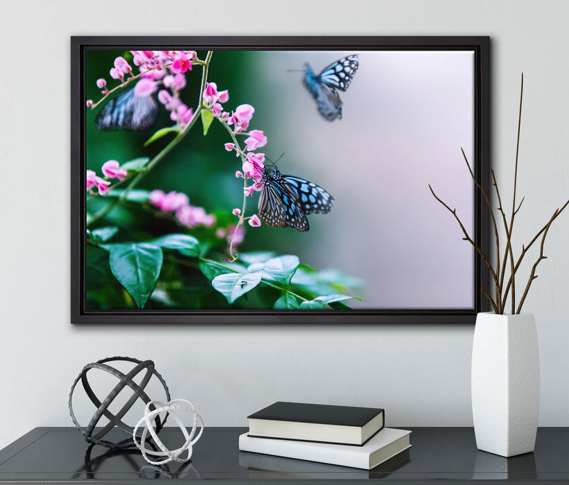 Schmetterlinge auf rosa Blumen auf Leinwandbild gerahmt mit Kirschblüten