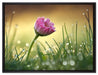 rosa Gänseblümchen im Gras auf Leinwandbild gerahmt Größe 80x60