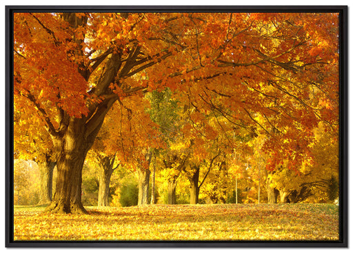 schöne Herbstlandschaft auf Leinwandbild gerahmt Größe 100x70