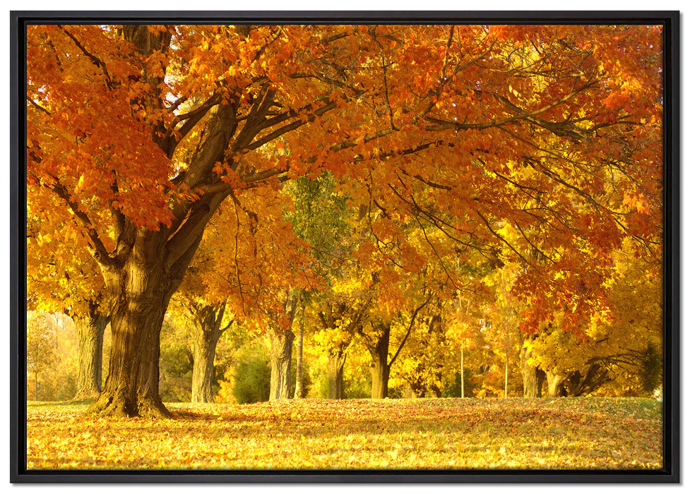 schöne Herbstlandschaft auf Leinwandbild gerahmt Größe 100x70