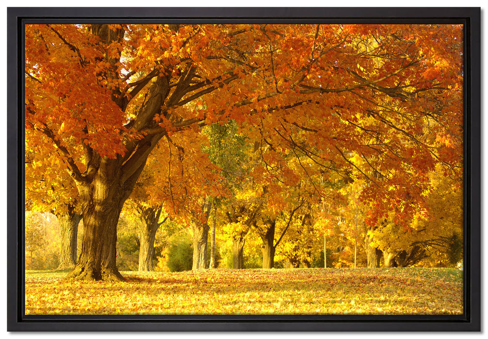 schöne Herbstlandschaft auf Leinwandbild gerahmt Größe 60x40