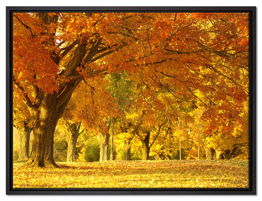 schöne Herbstlandschaft auf Leinwandbild gerahmt Größe 80x60