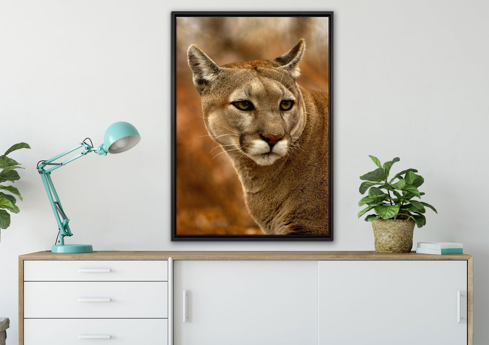 schöner Berglöwe auf Leinwandbild gerahmt verschiedene Größen im Wohnzimmer