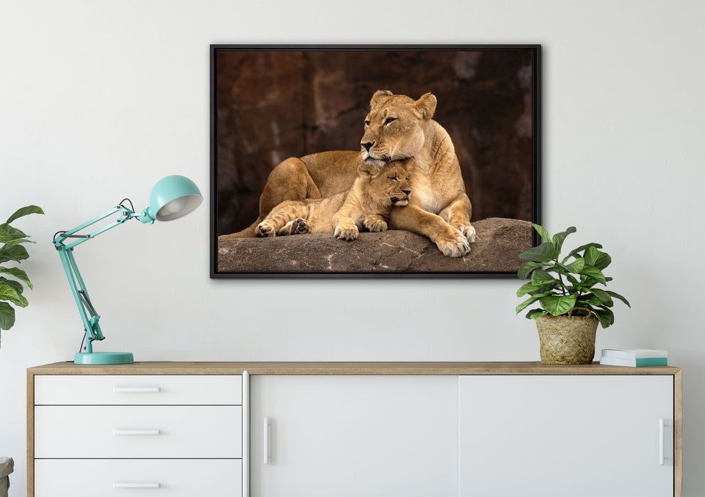 Löwe mit Löwenjungen auf Leinwandbild gerahmt verschiedene Größen im Wohnzimmer