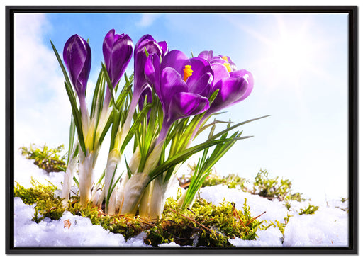 Kunst Frühling flower Hintergrund auf Leinwandbild gerahmt Größe 100x70