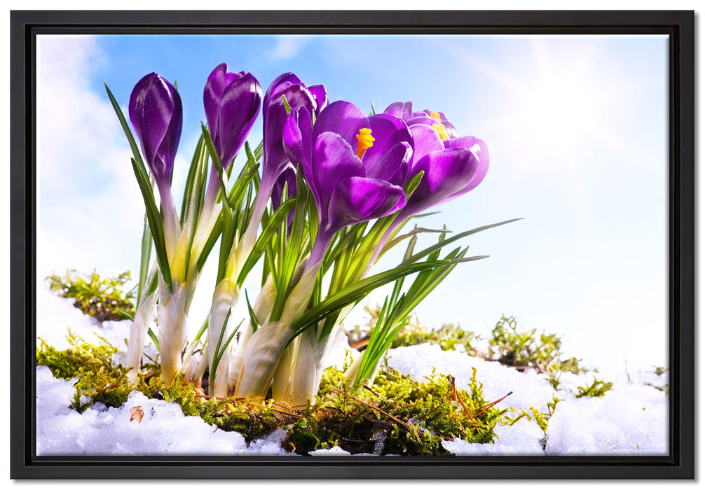 Kunst Frühling flower Hintergrund auf Leinwandbild gerahmt Größe 60x40
