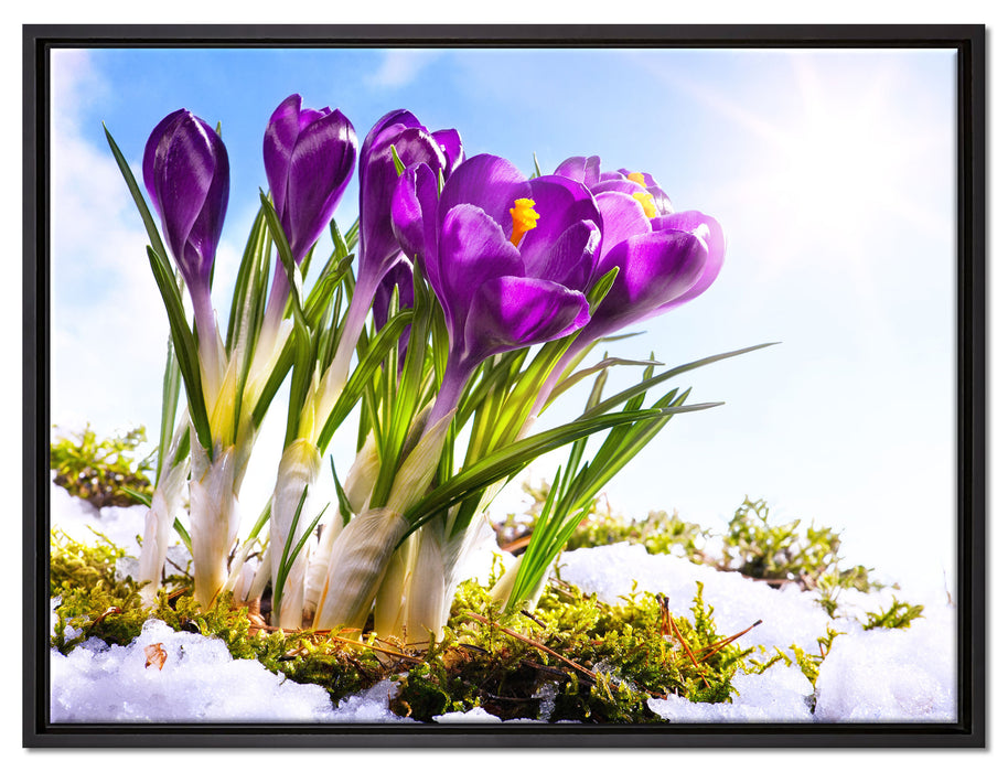 Kunst Frühling flower Hintergrund auf Leinwandbild gerahmt Größe 80x60