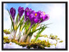 Kunst Frühling flower Hintergrund auf Leinwandbild gerahmt Größe 80x60