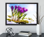 Kunst Frühling flower Hintergrund auf Leinwandbild gerahmt mit Kirschblüten