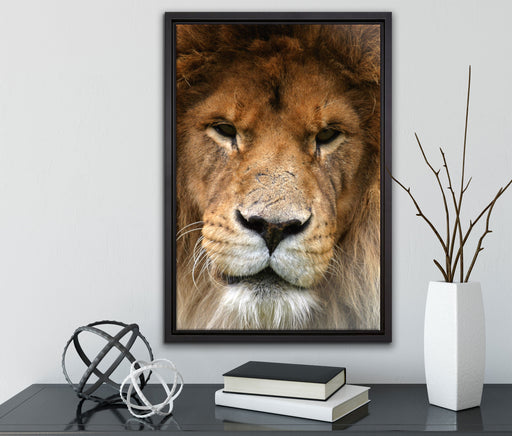 Kampfvernarbten auf Leinwandbild gerahmt mit Kirschblüten