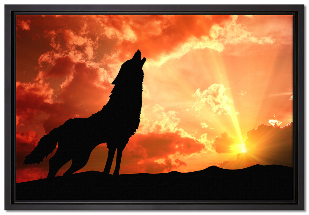 Wolf Heulen auf Leinwandbild gerahmt Größe 60x40