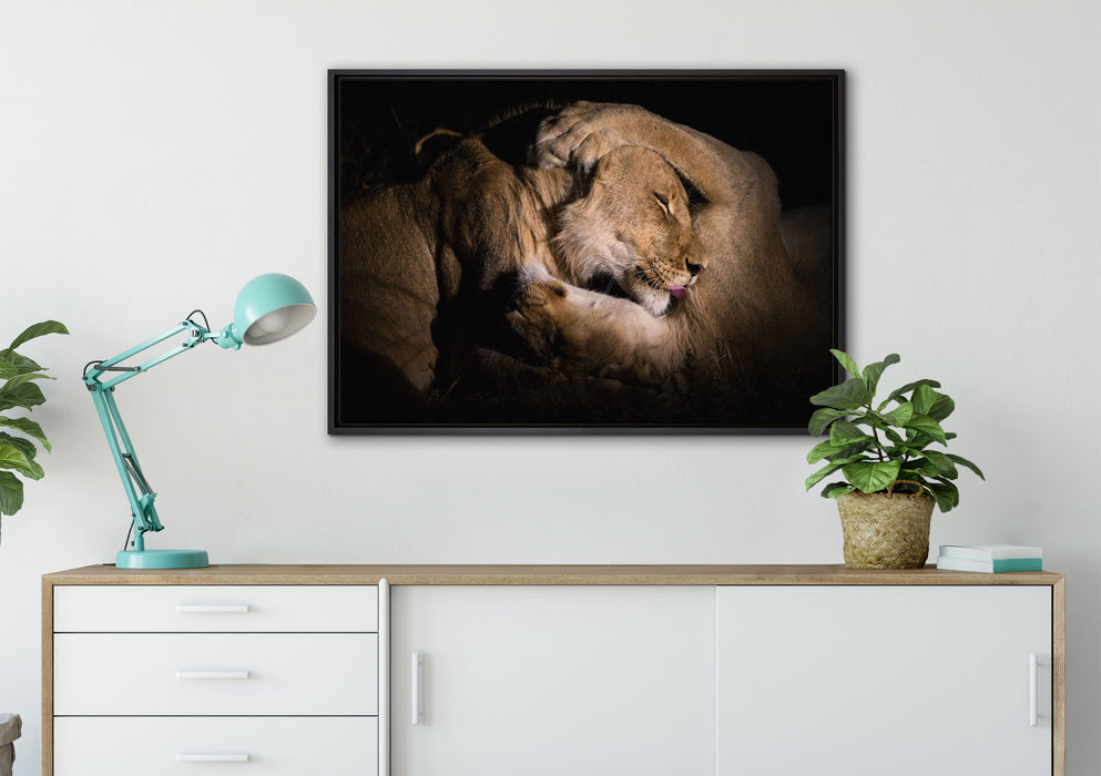 Männer & Frauen Löwe kuscheln auf Leinwandbild gerahmt verschiedene Größen im Wohnzimmer