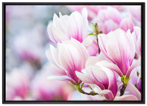 zarte rosa farbende Blüten auf Leinwandbild gerahmt Größe 100x70