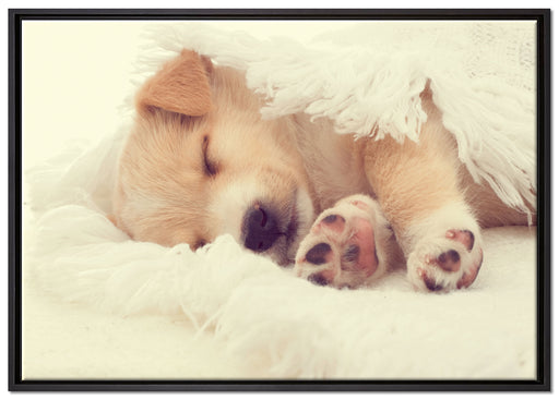 kleiner schlafender Welpe auf Leinwandbild gerahmt Größe 100x70