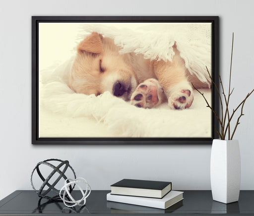 kleiner schlafender Welpe auf Leinwandbild gerahmt mit Kirschblüten