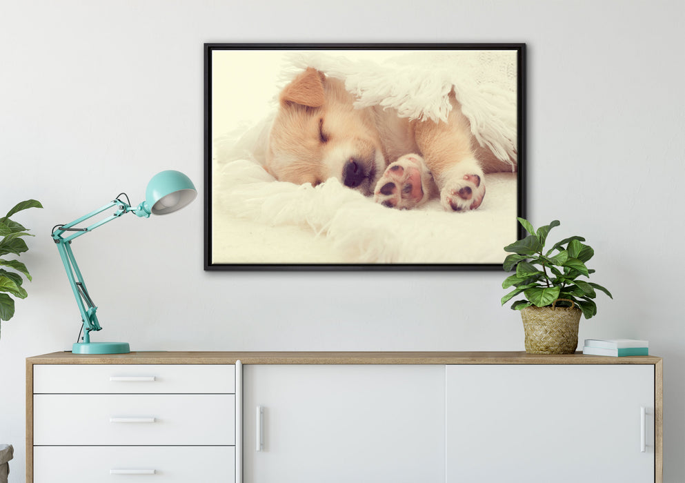 kleiner schlafender Welpe auf Leinwandbild gerahmt verschiedene Größen im Wohnzimmer