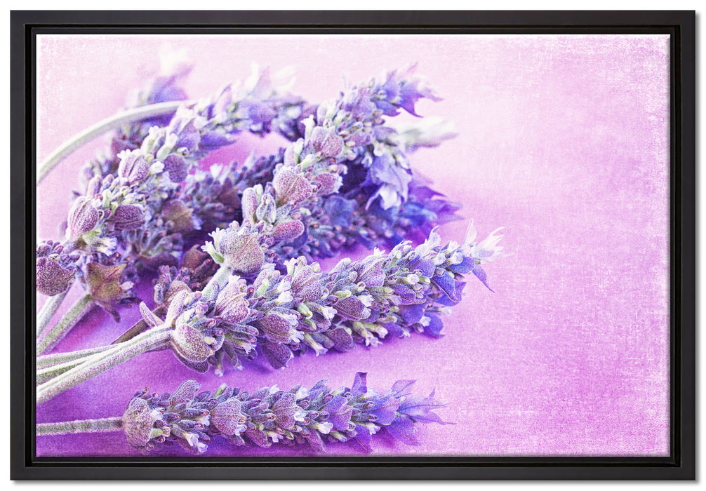 getrockneter Lavendel auf Leinwandbild gerahmt Größe 60x40