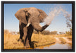 schöner Elefant spritzt mit Wasser auf Leinwandbild gerahmt Größe 60x40