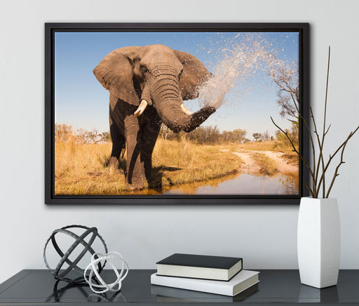 schöner Elefant spritzt mit Wasser auf Leinwandbild gerahmt mit Kirschblüten