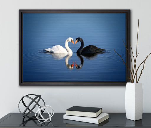 verliebte Schwäne schmusen auf Leinwandbild gerahmt mit Kirschblüten