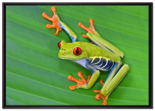 kleiner grüner Frosch auf Blatt auf Leinwandbild gerahmt Größe 100x70