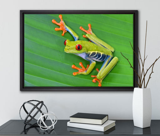 kleiner grüner Frosch auf Blatt auf Leinwandbild gerahmt mit Kirschblüten