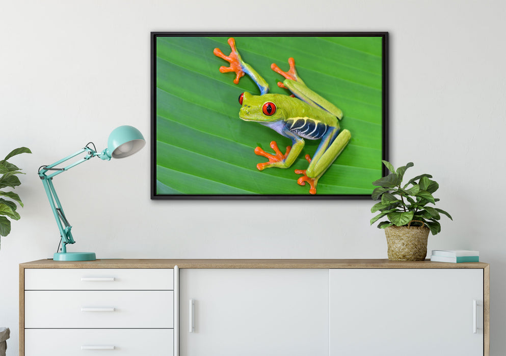 kleiner grüner Frosch auf Blatt auf Leinwandbild gerahmt verschiedene Größen im Wohnzimmer