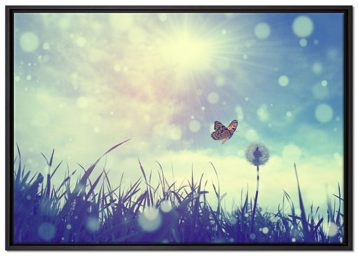 Schmetterling fliegt zu Pusteblume auf Leinwandbild gerahmt Größe 100x70