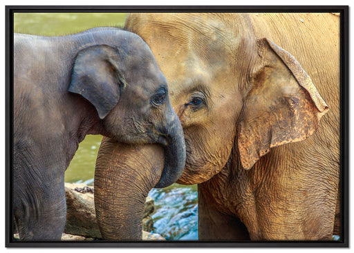 Elefantenmutter mit Kalb auf Leinwandbild gerahmt Größe 100x70