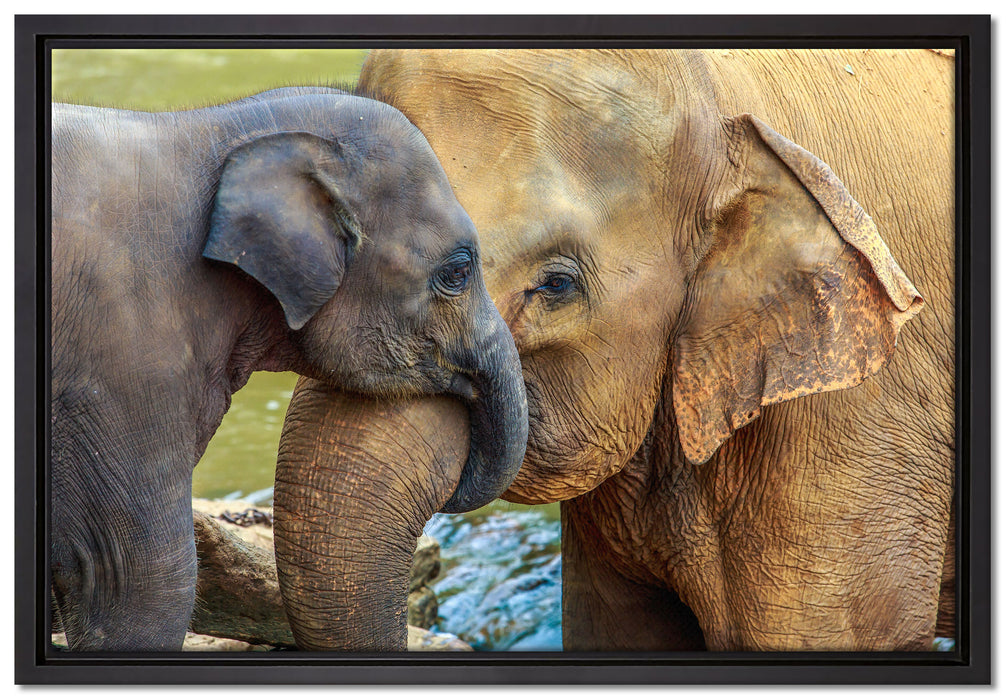Elefantenmutter mit Kalb auf Leinwandbild gerahmt Größe 60x40