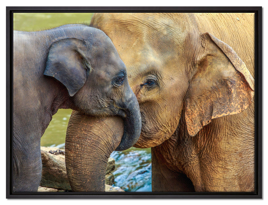 Elefantenmutter mit Kalb auf Leinwandbild gerahmt Größe 80x60