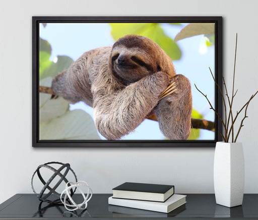 schönes Faultier hängt von Ast auf Leinwandbild gerahmt mit Kirschblüten