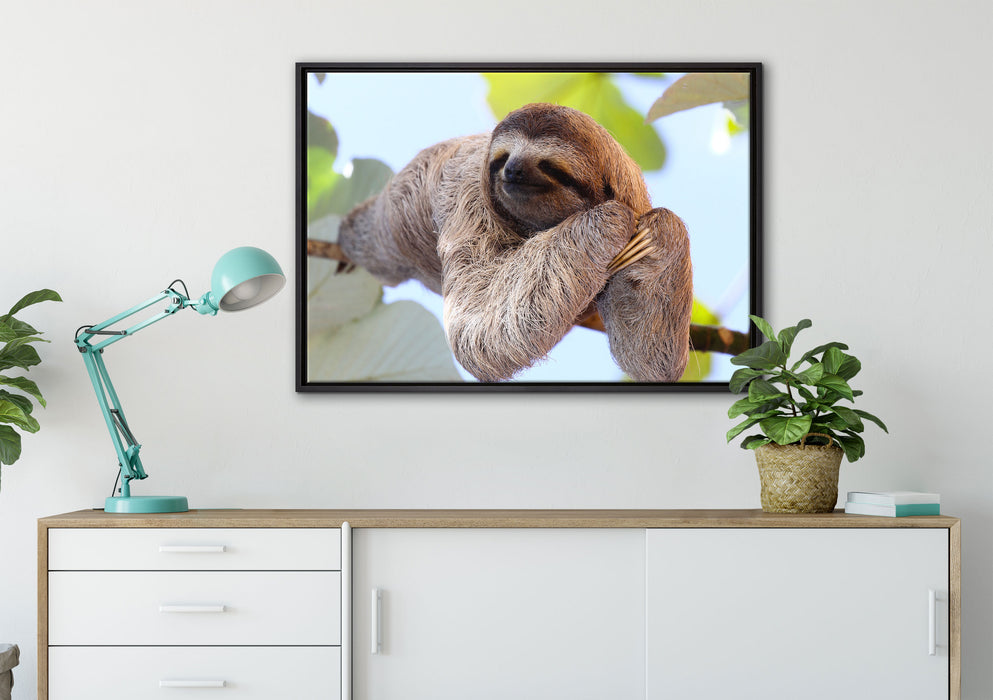 schönes Faultier hängt von Ast auf Leinwandbild gerahmt verschiedene Größen im Wohnzimmer