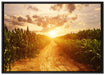Pfad durch Feld auf Leinwandbild gerahmt Größe 100x70