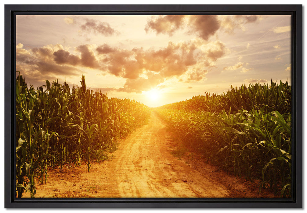 Pfad durch Feld auf Leinwandbild gerahmt Größe 60x40