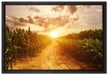 Pfad durch Feld auf Leinwandbild gerahmt Größe 60x40