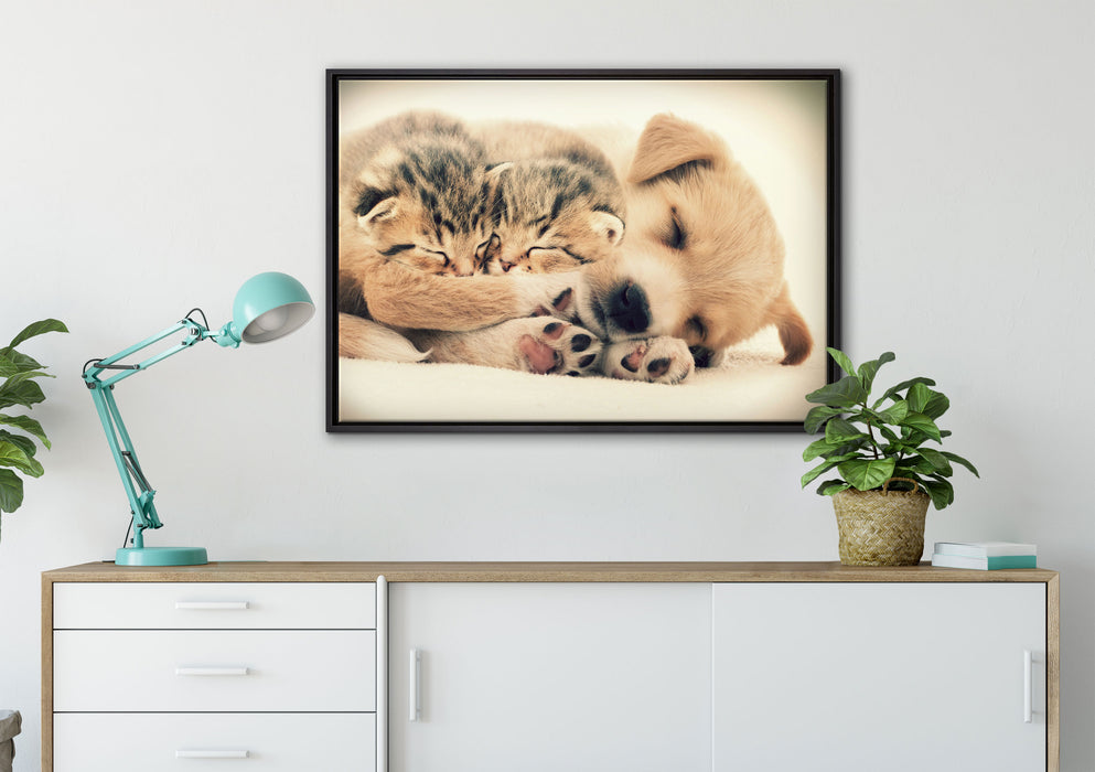 Hundewelpe mit kleinen Kätzchen auf Leinwandbild gerahmt verschiedene Größen im Wohnzimmer