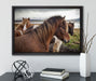 Herde aus schönen Wildpferden auf Leinwandbild gerahmt mit Kirschblüten