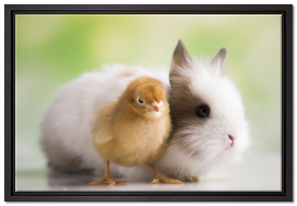 kleines Küken mit süßem Häschen auf Leinwandbild gerahmt Größe 60x40