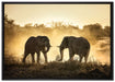 kämpfende Elefanten auf Leinwandbild gerahmt Größe 100x70