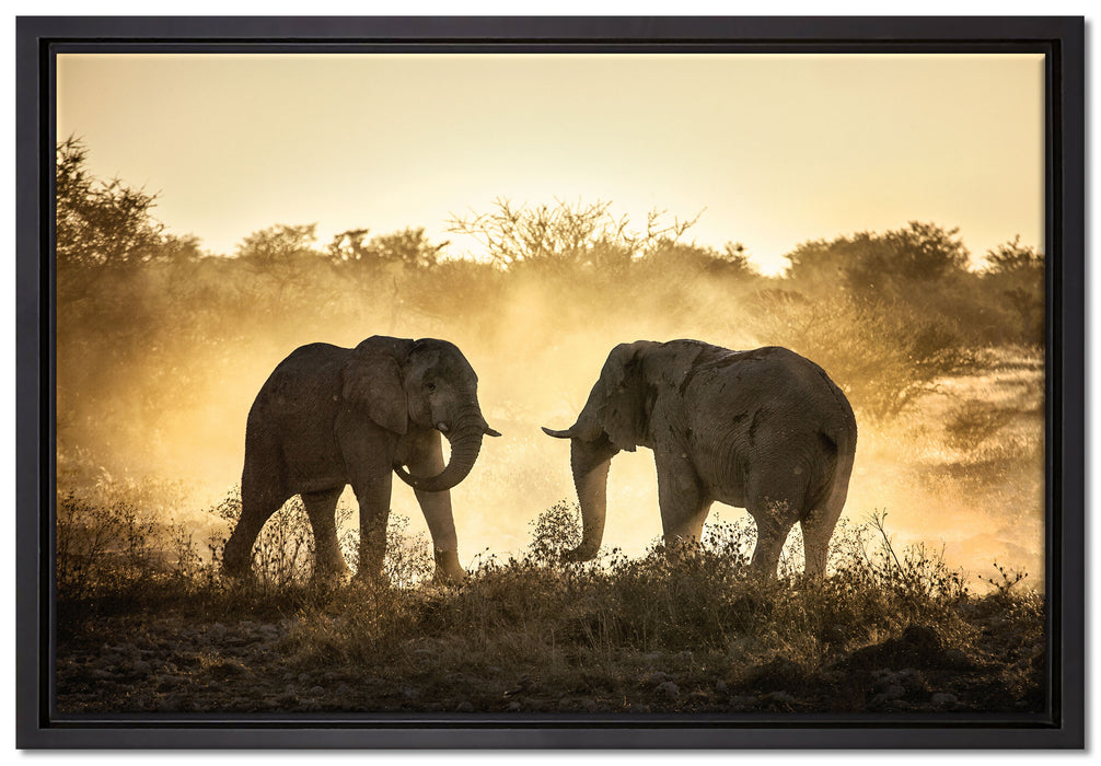 kämpfende Elefanten auf Leinwandbild gerahmt Größe 60x40