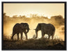 kämpfende Elefanten auf Leinwandbild gerahmt Größe 80x60