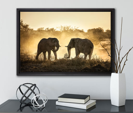 kämpfende Elefanten auf Leinwandbild gerahmt mit Kirschblüten