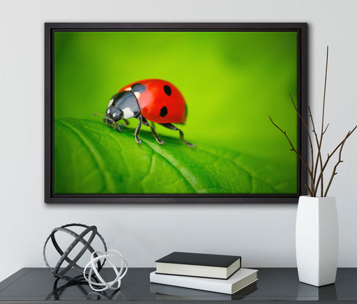 Marienkäfer auf Blatt auf Leinwandbild gerahmt mit Kirschblüten
