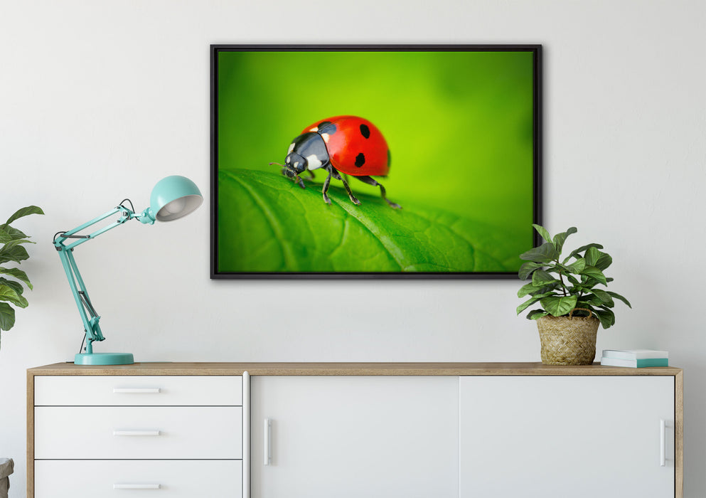 Marienkäfer auf Blatt auf Leinwandbild gerahmt verschiedene Größen im Wohnzimmer