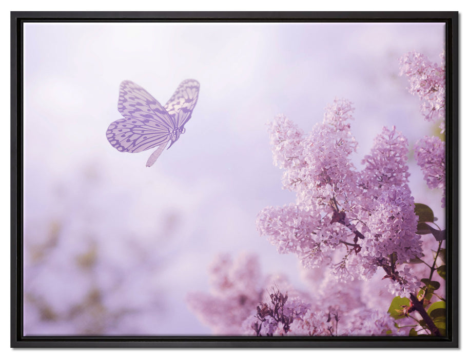 Schmetterling Kirschblüten auf Leinwandbild gerahmt Größe 80x60