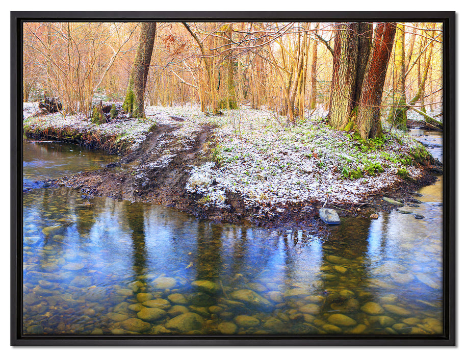 schneebedeckter Waldboden auf Leinwandbild gerahmt Größe 80x60