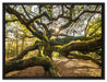 gigantisch verzweigter Baum auf Leinwandbild gerahmt Größe 80x60