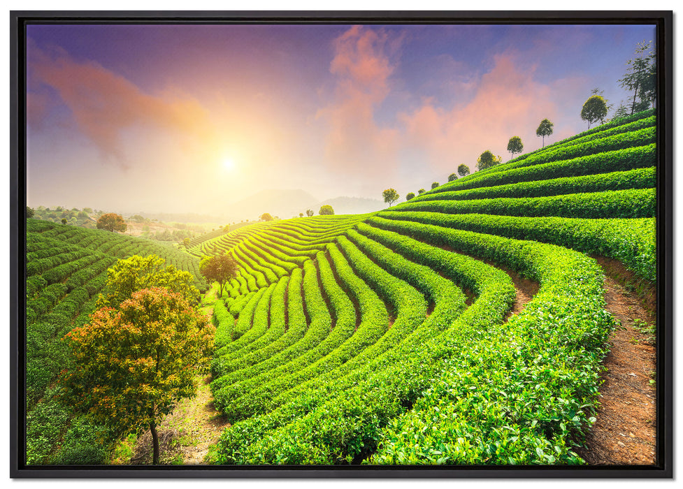 Japanische Treppenfelder auf Leinwandbild gerahmt Größe 100x70