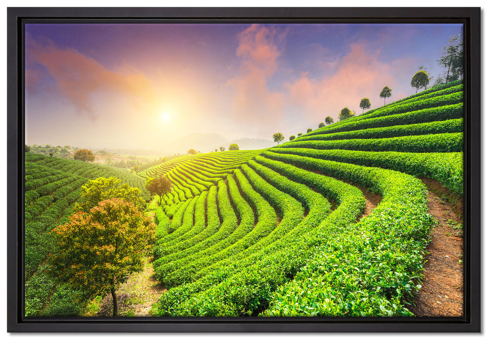 Japanische Treppenfelder auf Leinwandbild gerahmt Größe 60x40